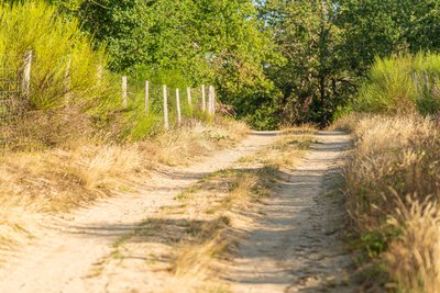 Chemin près des Girauds-Faures