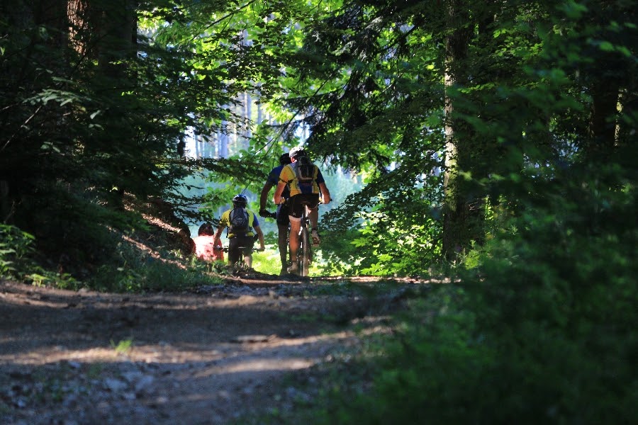 Chemin près de Celles sur Durolle