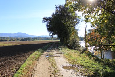 Chemin longeant la Dore