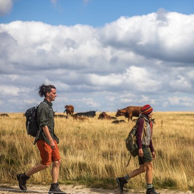 Randonneurs sur les Hautes-Chaumes